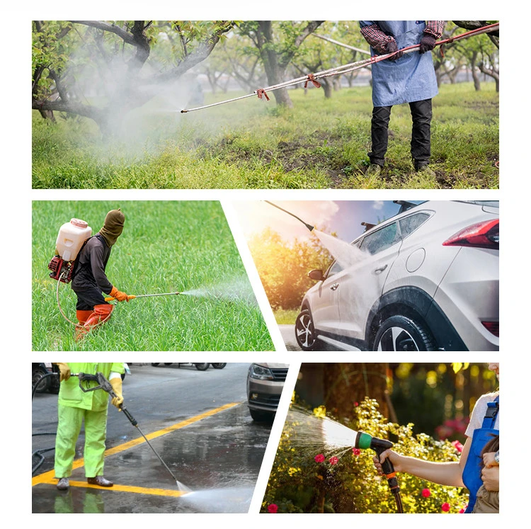 Portable Agricultural 4 Stroke Gasoline Petrol Motor Engine Power Spray Sprayer Pump