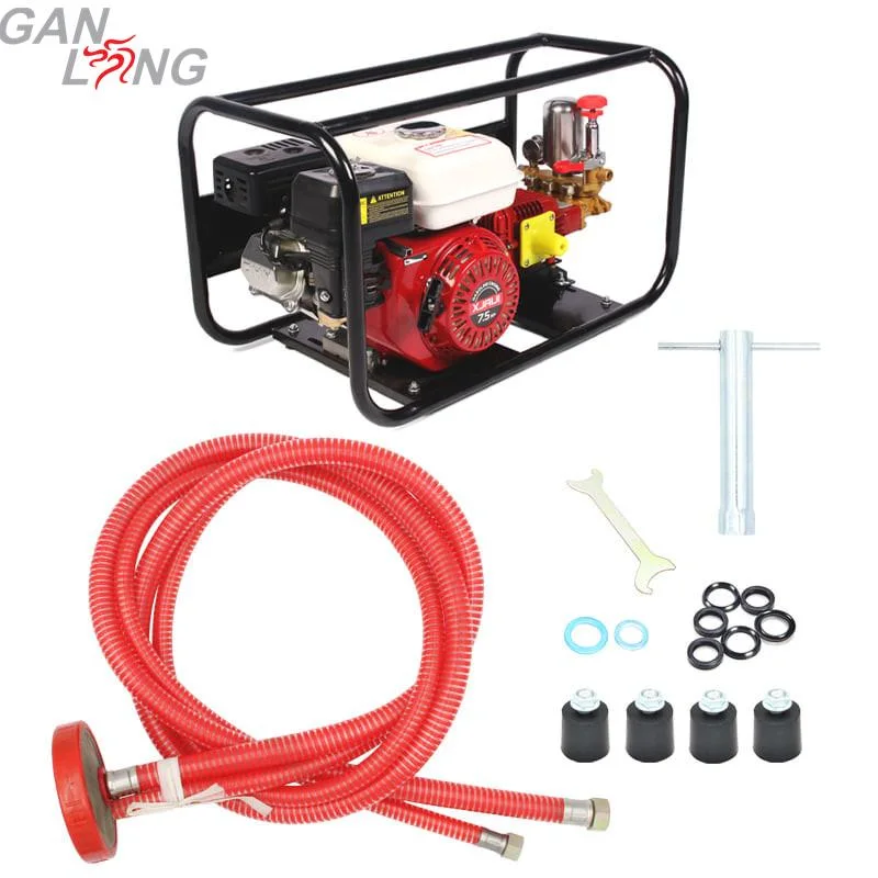 Portable Agricultural 4 Stroke Gasoline Petrol Motor Engine Power Spray Sprayer Pumps