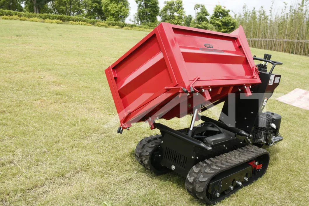 China Power Barrow/Muck Truck/Mini Dumper/Mini Loader By1000 with Ce