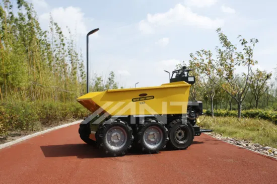 Chine Brouette électrique/camion à déblais/mini-dumper/mini-chargeur By1000 avec ce